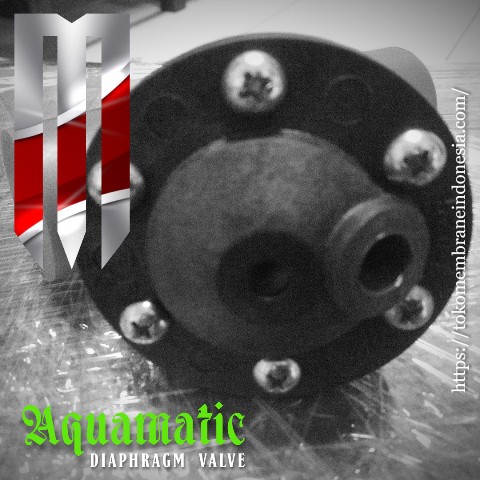 aquamatic diaphragm valve K520 A125